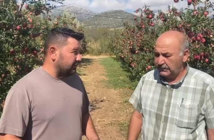 Dolu felaket getirdi: 4 bin 200 ton elma yandı, kayıp 170 milyon TL