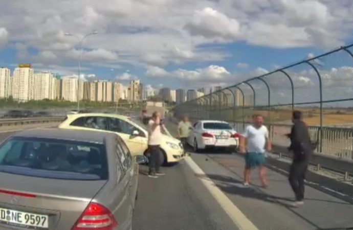 Kediyi kurtarmak isterken canından oluyordu