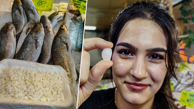 Bu balığın sırrı başındaki taş: Kilosu 10 bin lira