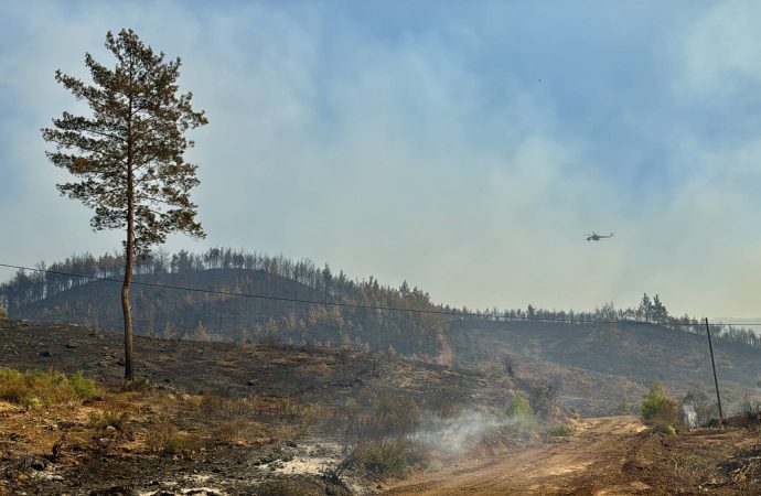Orman yangınlarında ikinci gün: Köyceğiz’de 218 ev boşaltıldı, 582 kişi tahliye edildi