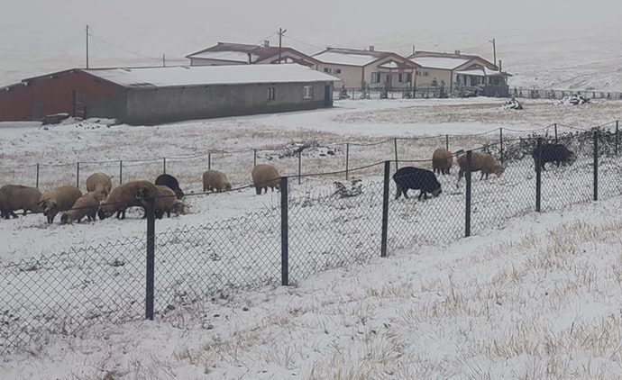 Kış oralara erken geldi: Eylülde kar yağdı