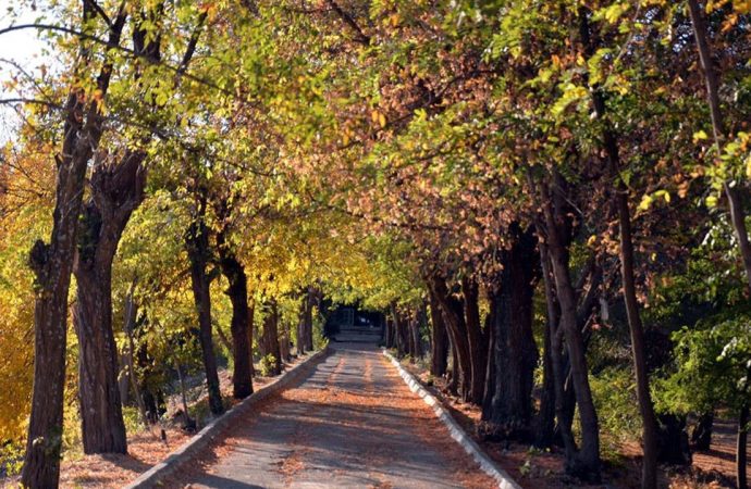 Meteoroloji raporu: Sıcaklıklar artıyor
