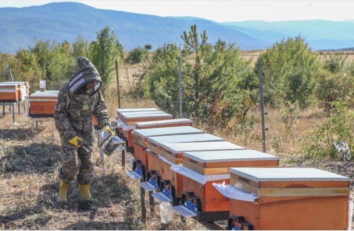 Arıları için her hafta 900 kilometre yol gidiyor