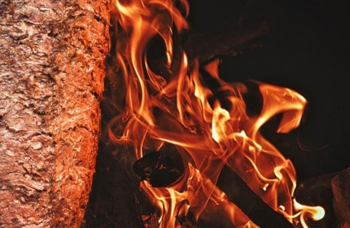 Türkiye başvurusunu çekti, AB’de döner tartışması bitti