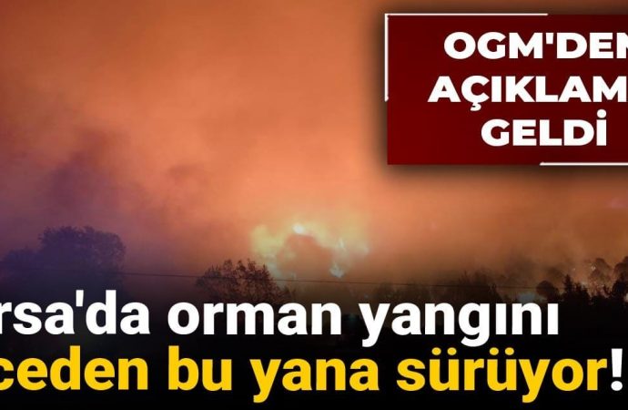 Bursa’da orman yangını: ‘Enerjisi düşürüldü’