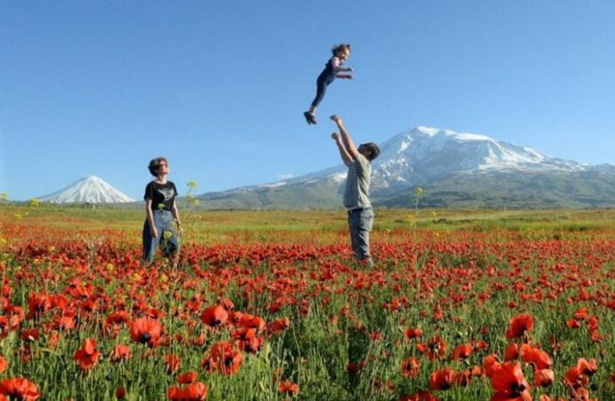 Gelişmişlik