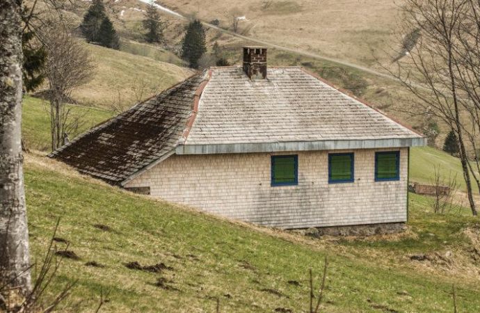Heidegger’in kulübesi