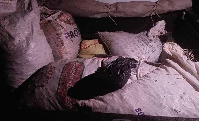 ‘Dağ sarımsağı’ kaçırıyordu: Çuvallar içinde ele geçirildi, 557 bin lira ceza kesildi