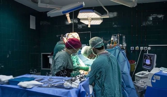 Domuz karaciğeriyle 171 gün hayatta kalabildi