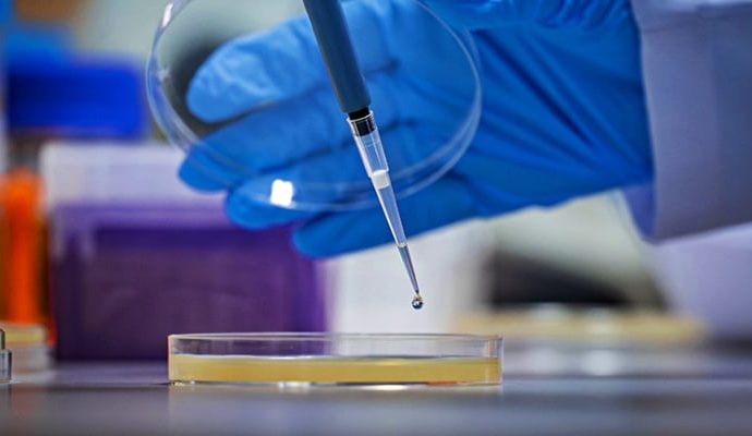 Araştırma: Bir bakteri türünün salgıladığı protein kanser hücresini yok etti