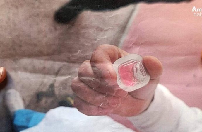 Kuduz aşısı alarmı: Havadan atılan hayvan aşıları köylere düştü