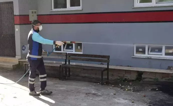 Karabasan İstanbul’a yaklaştı: Kahverengi kokarca geliyor
