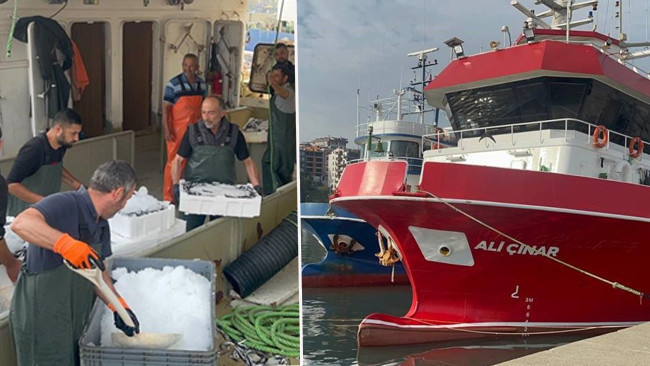 Hamsi kasa kasa çıkınca fiyatı yarıya düştü
