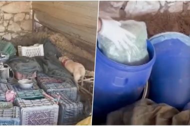 Mersin’de 220 kilo marihuana ve bir kilo kokain ele geçti: Üç tutuklama