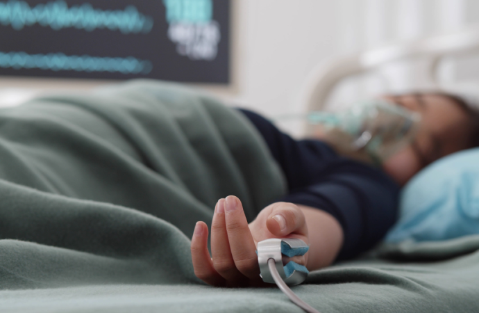 Deli dana alarmı: Ankara’dan sonra Bolu’da da görüldü