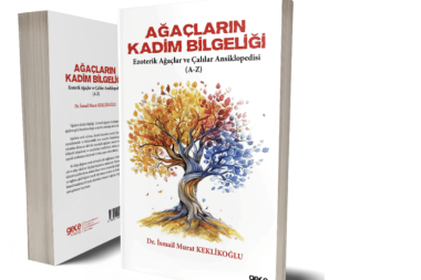 “Her şeyin kendi zamanında gerçekleşmesine izin vermeyi” unutuşumuz