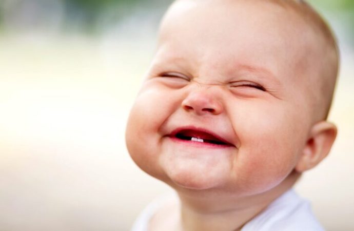 Bir Gülüşün Anatomisi