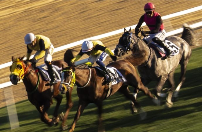 Cumhuriyet koşusu Gökırmak’ın