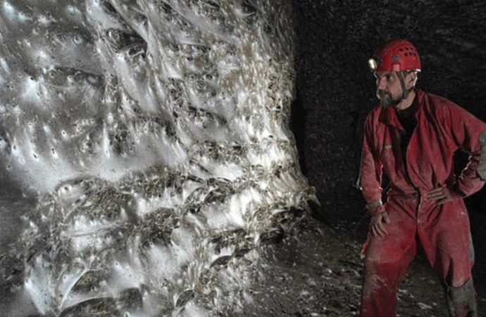 Dünyanın en büyük örümcek ağı