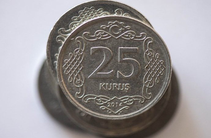 Elinde bu 25 kuruştan olan turnayı gözünden vurdu