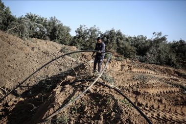 BM: Gazze’de tarım altyapısının yüzde 89’u saldırılarda hasar gördü