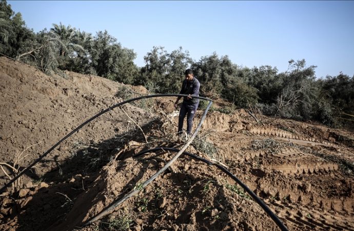 BM: Gazze’de tarım altyapısının yüzde 89’u saldırılarda hasar gördü