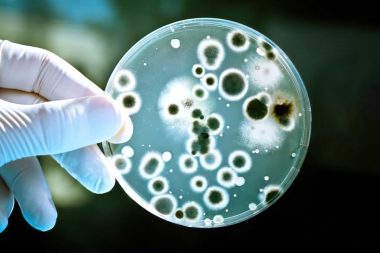 Mevcutlardan 100 kat güçlü antibiyotik elde edildi