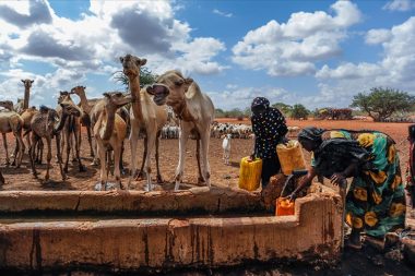 İklim krizi son 10 yılda 250 milyon kişiyi yerinden etti