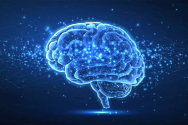 Zihin okumada dev adım: Beyindeki görüntüler cümleye dönüştü