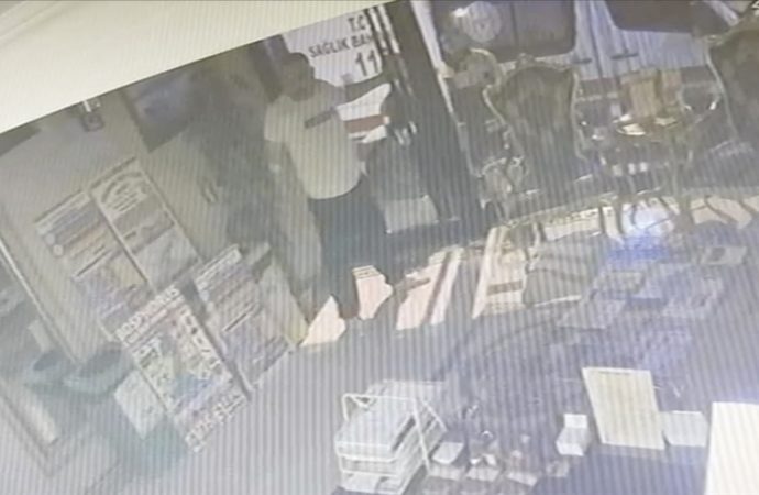 Böcek ailesi neden öldü, artık biliyoruz: Vurdumduymazlıktan