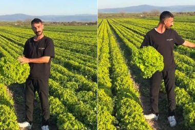 ‘Satarsam şerefsizim’ dedi, stokçulukla suçlandı