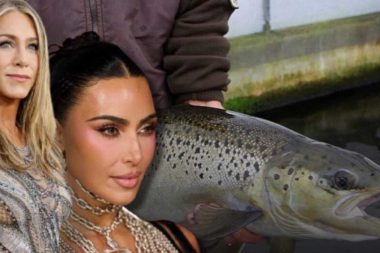 Ünlü isimlerin güzellik sırrı: İğneyle balık spermi enjeksiyonu