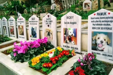 Evcil hayvan mezarlıkları cep yakıyor:  İstanbul’da 15 bin TL’ye defin