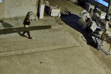 At arabasıyla hırsızlık yaptı