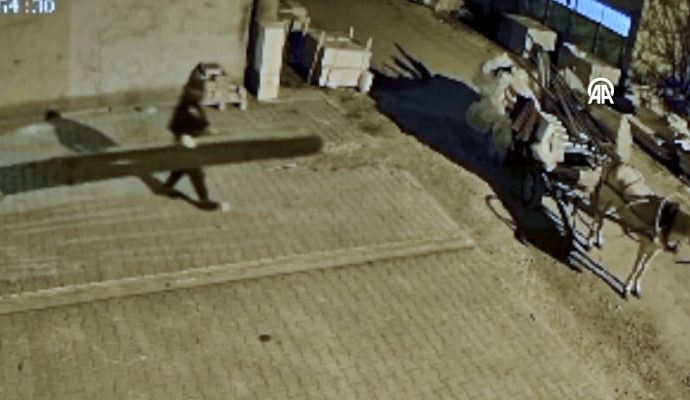 At arabasıyla hırsızlık yaptı