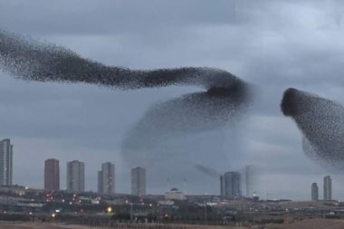 Fotoğrafa dikkatle bakın: Bu muhteşem manzara yapay zeka değil doğanın kendisi