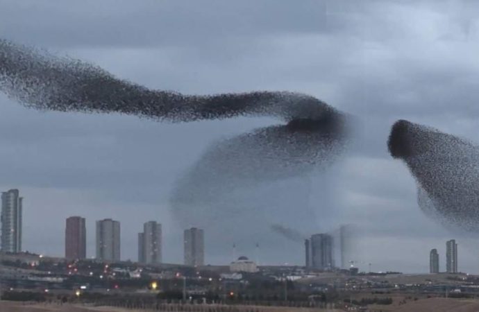 Fotoğrafa dikkatle bakın: Bu muhteşem manzara yapay zeka değil doğanın kendisi
