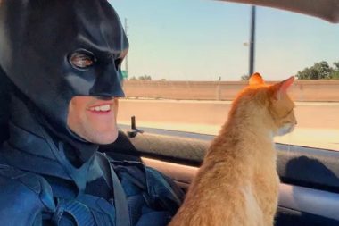 Evliliği Batman fantezisi bitirdi