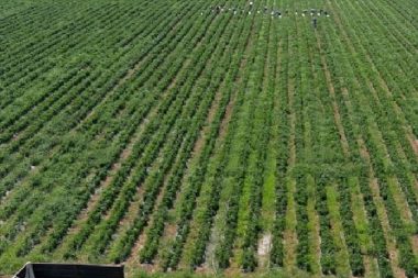 Biz yeni yeni tanıyoruz ama eken bir senede servet kazanıyor