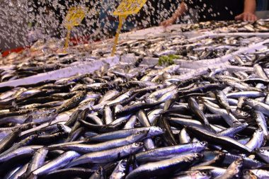 Palamut Gürcistan’a kaçınca tezgahlar hamsiyle doldu