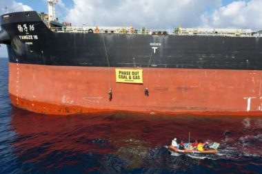 Dünyanın en büyük kömür limanı felç oldu: Fosil yakıt eyleminde 141 gözaltı