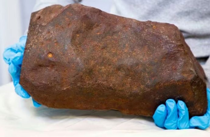 Altın sandığı taş daha da değerli çıktı: Güneş kadar yaşlı bir meteormuş