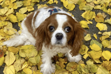 12 yıllık dostluk…