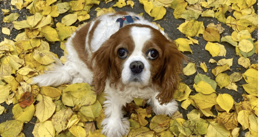 12 yıllık dostluk…