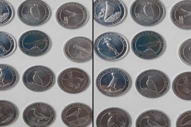 O ‘kuş’lu paraları kaybetmeyin: Değeri artıyor