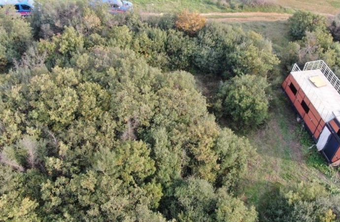 Eşyalar ne kelime, evin kendisini çaldı