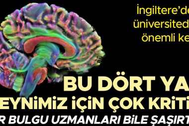 Bu dört yaş beynimiz için çok kritik: 9, 33, 66, 83