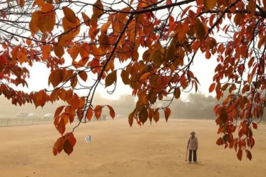 Japonya büyük bir bunama kriziyle karşı karşıya – BBC News Türkçe