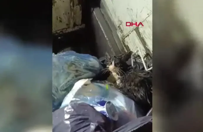 600 bin liralık hırsızlık trafik kazasıyla ortaya çıktı