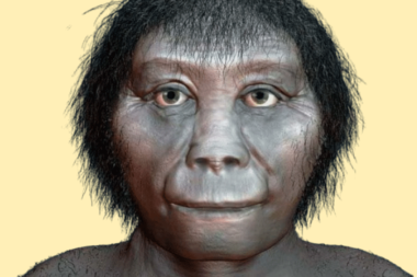 Sır perdesi aralanıyor: Flores Adası ‘Hobbitler’i nasıl yok oldu?